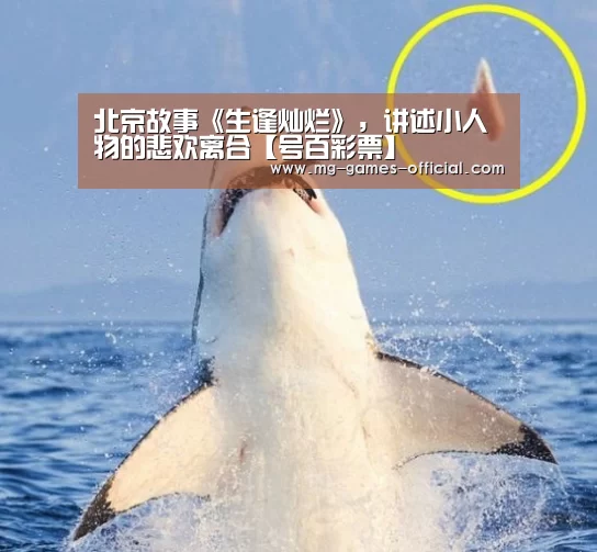 号百彩票走势分析